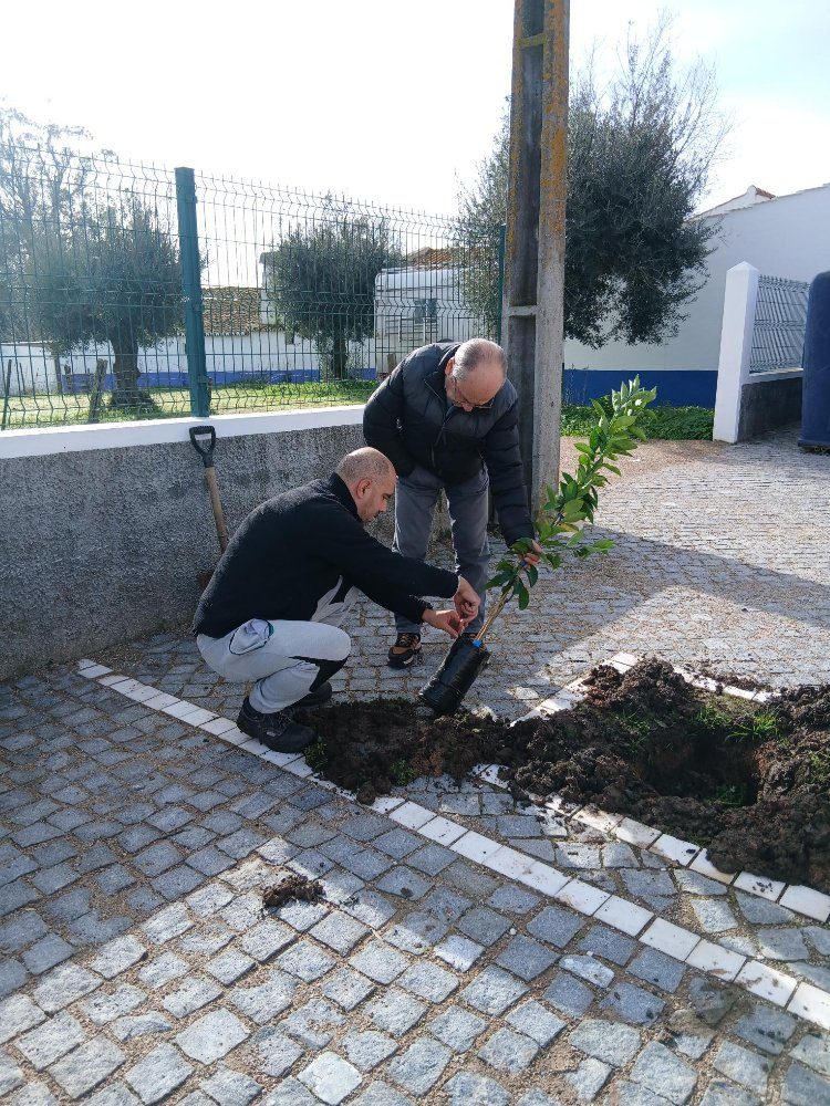 Plantação de 2 laranjeiras oferecidas pelo Sr. Jorge
