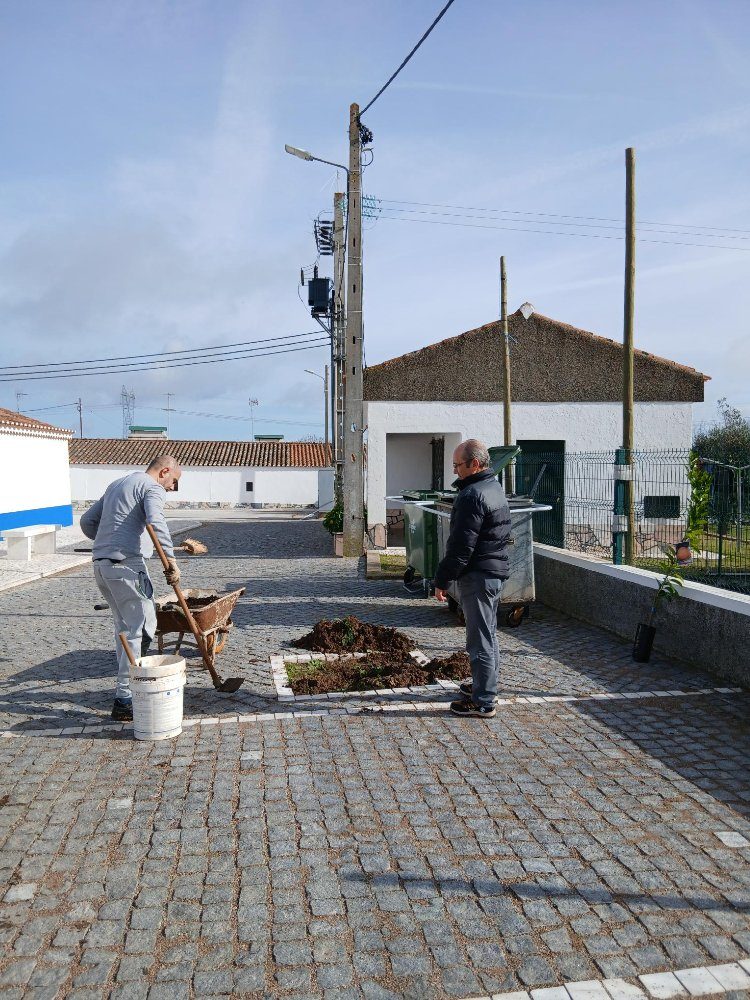 Plantação de 2 laranjeiras oferecidas pelo Sr. Jorge