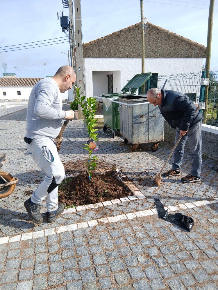 Plantação de 2 laranjeiras oferecidas pelo Sr. Jorge