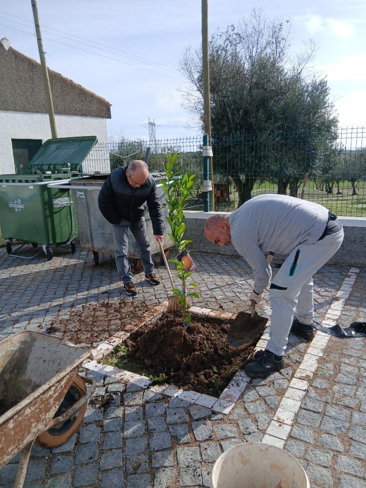 Plantação de 2 laranjeiras oferecidas pelo Sr. Jorge