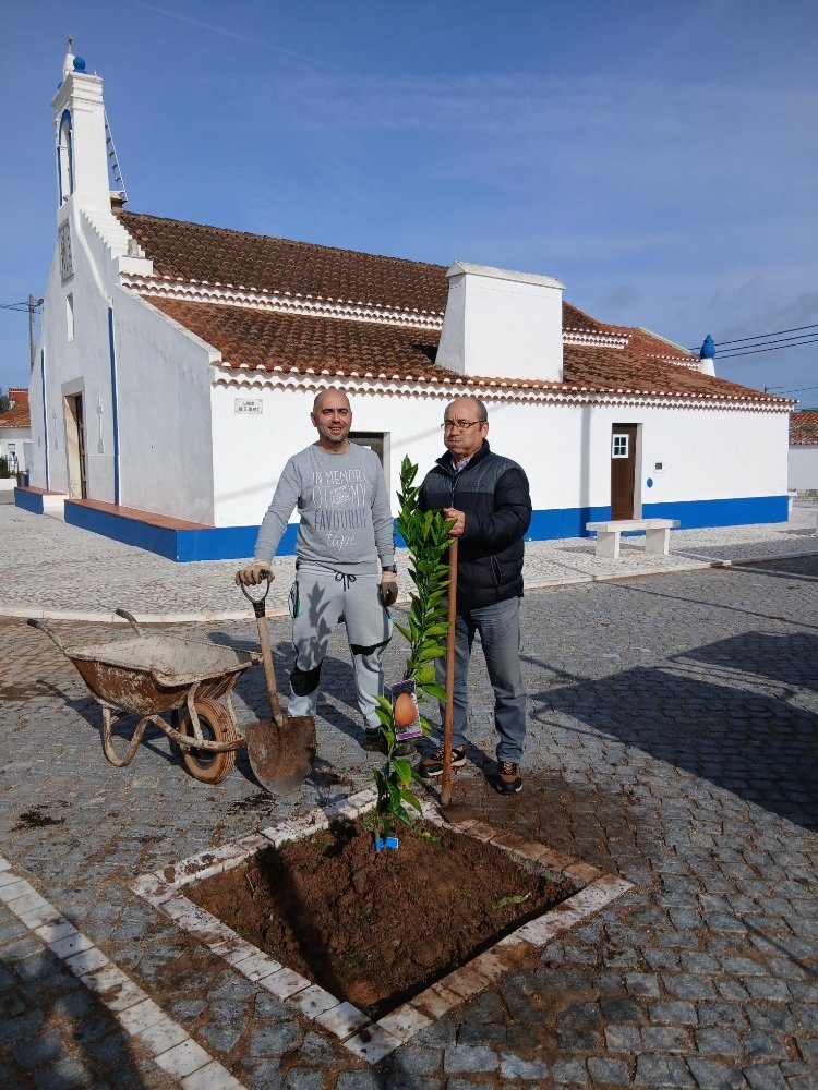 Plantação de 2 laranjeiras oferecidas pelo Sr. Jorge